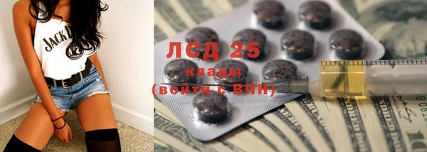прущий лед Алзамай