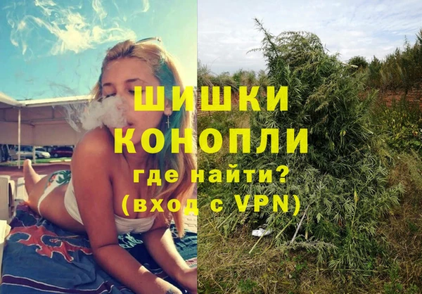 шишки Алексеевка