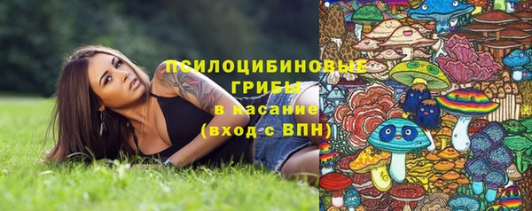 прущий лед Алзамай
