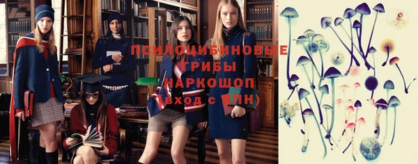 шишки Алексеевка