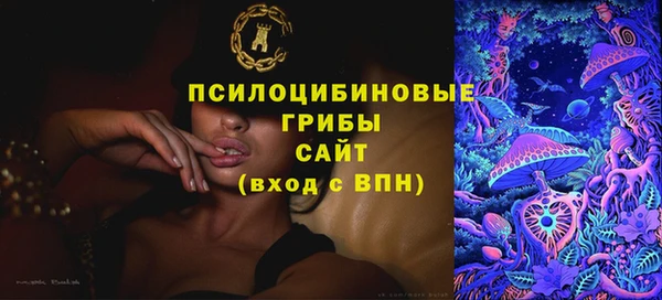 прущий лед Алзамай