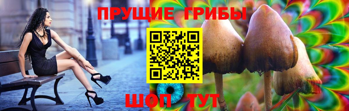 Псилоцибиновые грибы мухоморы Куйбышев